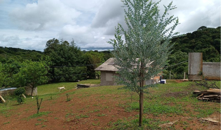 Imagem Fazenda à Venda, em Centro - Contenda Imagem Fazenda à Venda, em Centro - Contenda