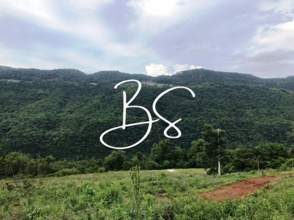 Imagem Imóvel à Venda, 30.000 m² em Linha Pirajá Baixa - Nova Petrópolis Imagem Imóvel à Venda, 30.000 m² em Linha Pirajá Baixa - Nova Petrópolis