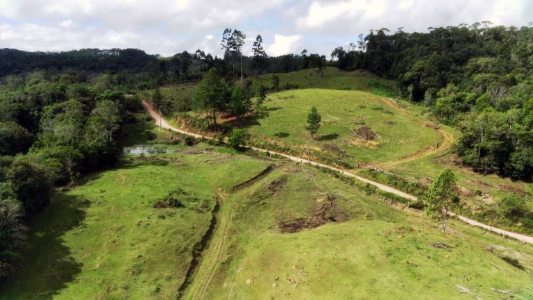 Imagem Imóvel com 6 Quartos à Venda, 250.000 m² em Zona Rural - Apiúna