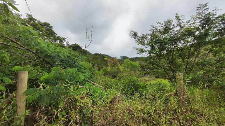 Imagem Terreno à Venda, em Ressacada - Garopaba Imagem Terreno à Venda, em Ressacada - Garopaba