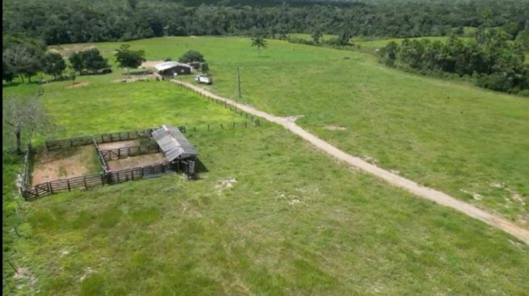 Imagem Fazenda à Venda, em Vilhena Imagem Fazenda à Venda, em Vilhena