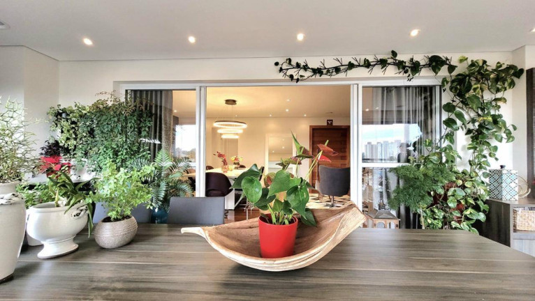 Imagem Apartamento com 3 Quartos à Venda, 242 m² em Nova Petrópolis - São Bernardo Do Campo Imagem Apartamento com 3 Quartos à Venda, 242 m² em Nova Petrópolis - São Bernardo Do Campo