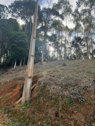 Imagem Terreno à Venda, 2.000 m² em Centro - Marechal Floriano Imagem Terreno à Venda, 2.000 m² em Centro - Marechal Floriano
