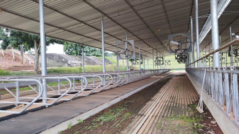Imagem Fazenda à Venda, 64 m² em Rural - Itapetininga Imagem Fazenda à Venda, 64 m² em Rural - Itapetininga
