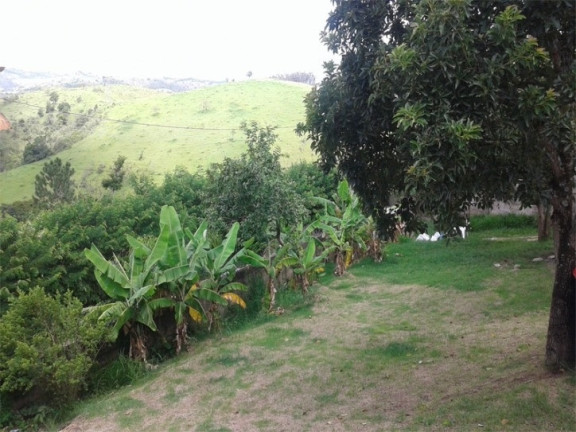 Imagem Chácara com 1 Quarto à Venda, 1.100 m² em Porto Velho - Jacareí Imagem Chácara com 1 Quarto à Venda, 1.100 m² em Porto Velho - Jacareí
