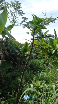 Casa com 2 Quartos à Venda, 100 m² em Saracuruna - Duque De Caxias
