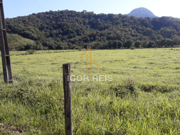 Imagem Fazenda à Venda, 487 m² em Rural - Casimiro De Abreu Imagem Fazenda à Venda, 487 m² em Rural - Casimiro De Abreu