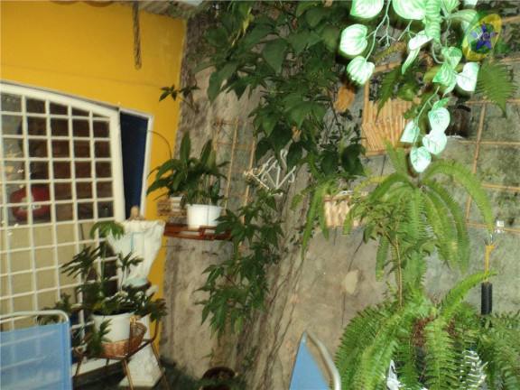 Imagem Casa com 4 Quartos à Venda, 360 m² em Jardim Chapadão - Campinas Imagem Casa com 4 Quartos à Venda, 360 m² em Jardim Chapadão - Campinas