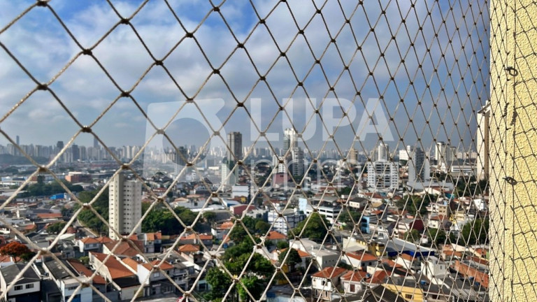 Imagem Apartamento com 2 Quartos à Venda, 49 m² em Vila Maria - São Paulo Imagem Apartamento com 2 Quartos à Venda, 49 m² em Vila Maria - São Paulo