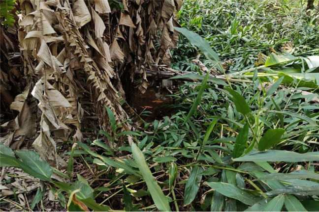 Terreno à Venda, 20.038 m² em Botujuru (botujuru) - Campo Limpo Paulista