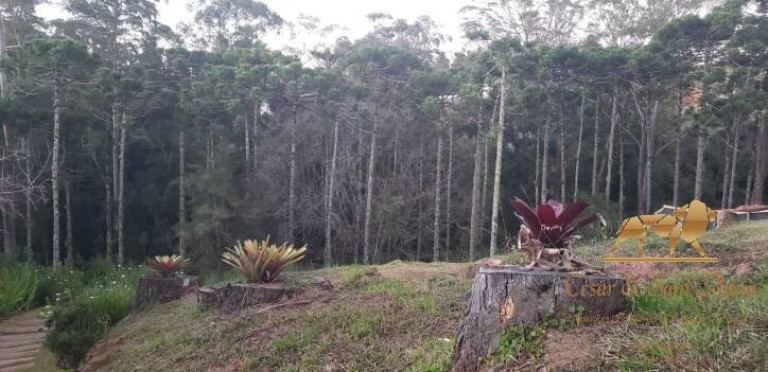 Imagem Terreno à Venda, 1.300 m² em Campos Do Jordão - Campos Do Jordão