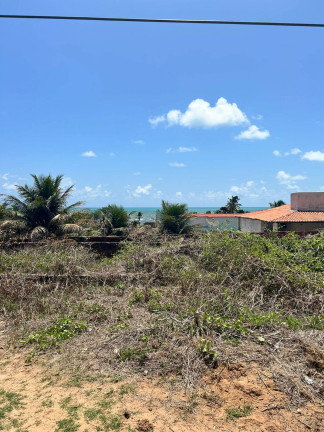 Imagem Terreno à Venda, 590 m² em Centro - Tibau Do Sul Imagem Terreno à Venda, 590 m² em Centro - Tibau Do Sul