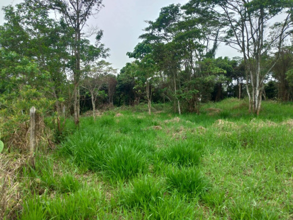 Imagem Terreno à Venda, em Ipiabas - Barra Do Piraí Imagem Terreno à Venda, em Ipiabas - Barra Do Piraí