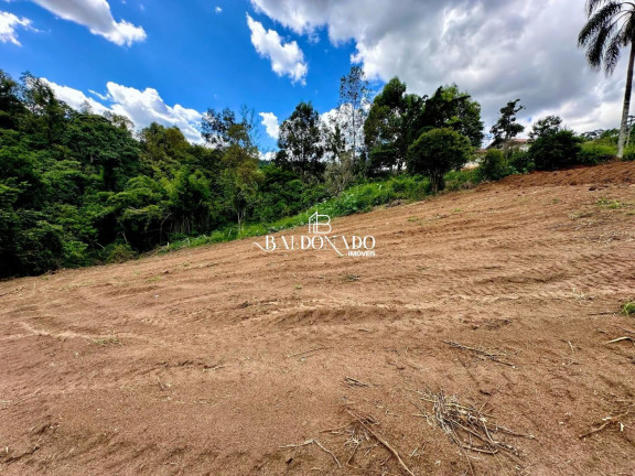 Imagem Terreno à Venda, 1.500 m² em Centro - Toledo