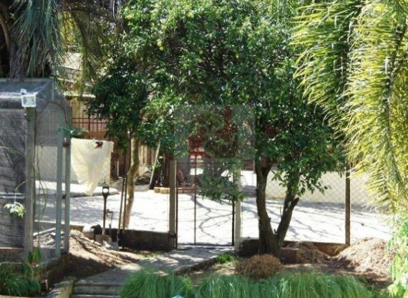 Imagem Casa com 4 Quartos à Venda, 460 m² em Cristal - Porto Alegre Imagem Casa com 4 Quartos à Venda, 460 m² em Cristal - Porto Alegre