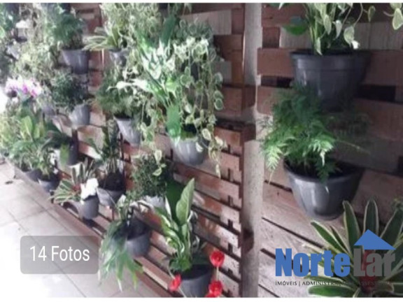 Imagem Casa com 3 Quartos à Venda, 590 m² em Lauzane Paulista - São Paulo