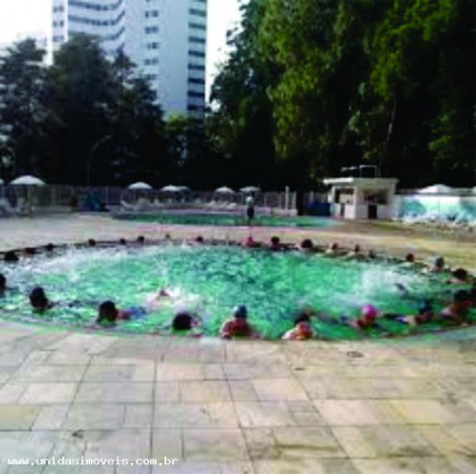 Imagem Apartamento com 2 Quartos à Venda, 53 m² em Jardim Olympia - São Paulo Imagem Apartamento com 2 Quartos à Venda, 53 m² em Jardim Olympia - São Paulo