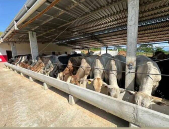 Imagem Fazenda à Venda, 259 m² em Centro - Lorena Imagem Fazenda à Venda, 259 m² em Centro - Lorena