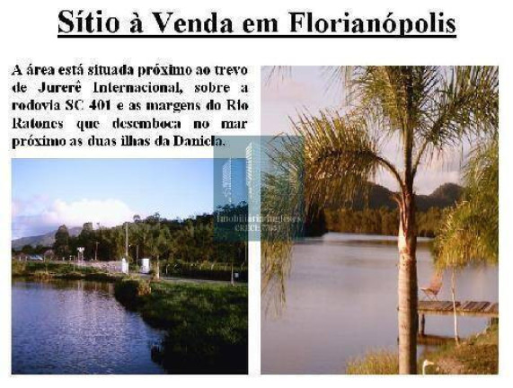 Imagem Chácara à Venda, 35 m² em Vargem Pequena - Florianópolis Imagem Chácara à Venda, 35 m² em Vargem Pequena - Florianópolis