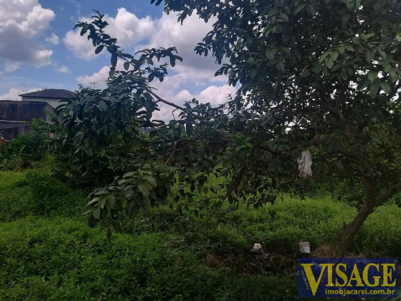 Imagem Terreno à Venda, 250 m² em Jardim Dulce - Guararema Imagem Terreno à Venda, 250 m² em Jardim Dulce - Guararema