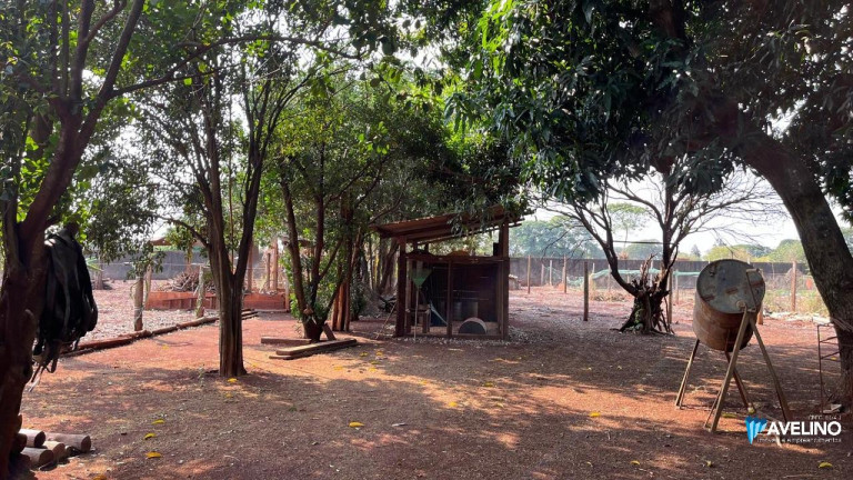 Imagem Imóvel com 1 Quarto à Venda, 5.750 m² em Conjunto Habitacional Izidro Pedroso - Dourados