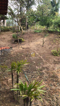 Imagem Chácara com 2 Quartos à Venda, 90 m² em Centro - Tijucas Imagem Chácara com 2 Quartos à Venda, 90 m² em Centro - Tijucas