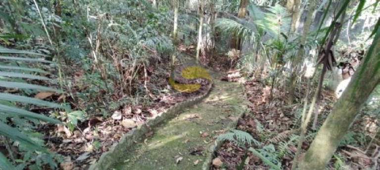 Imagem Terreno à Venda, 2.560 m² em Jardim Colibri - Cotia Imagem Terreno à Venda, 2.560 m² em Jardim Colibri - Cotia