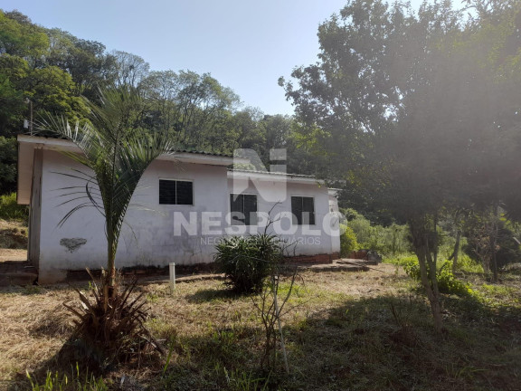 Imagem Fazenda à Venda, 130 m² em Interior - Chapeco