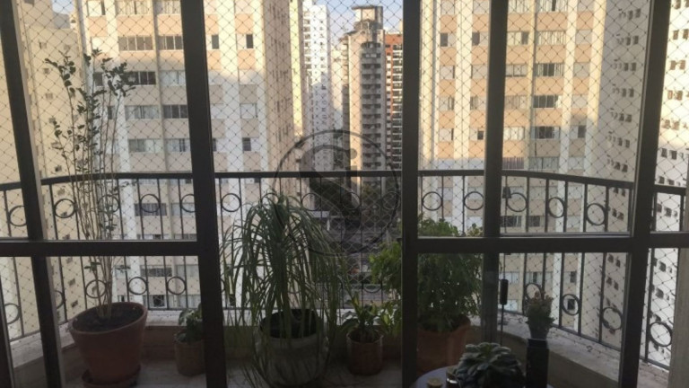Imagem Apartamento com 3 Quartos à Venda, 168 m² em Indianópolis - São Paulo Imagem Apartamento com 3 Quartos à Venda, 168 m² em Indianópolis - São Paulo