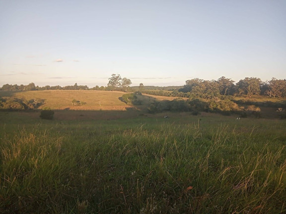 Chácara à Venda, 47.000 m² em Itapuã - Viamão