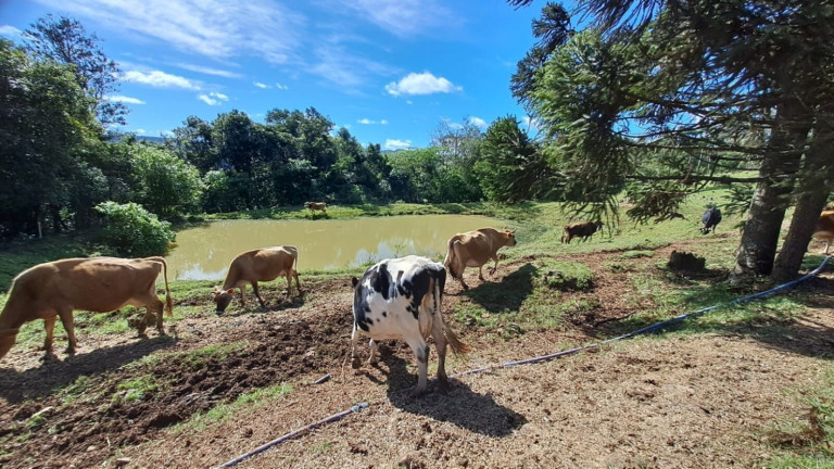 Imagem Chácara com 4 Quartos à Venda, 365.000 m² em Centro - Vale Do Sol
