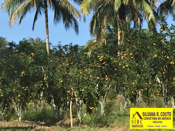 Imagem Chácara com 4 Quartos à Venda, 45 m² em Picos - Itaboraí
