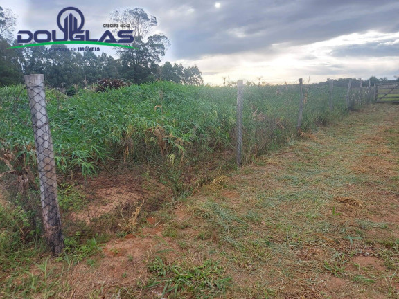 Imagem Chácara à Venda, 20.000 m² em Viamão Imagem Chácara à Venda, 20.000 m² em Viamão