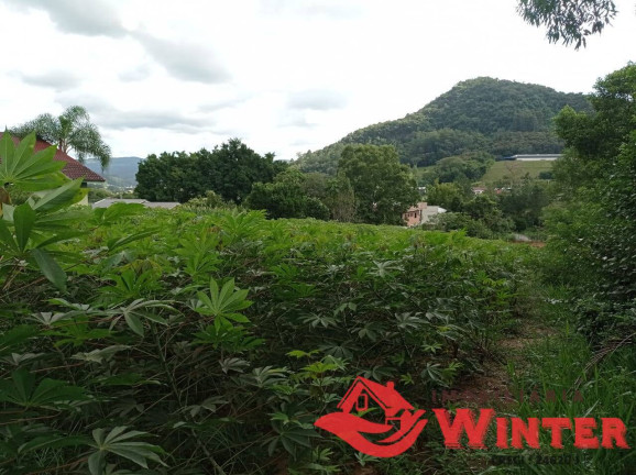 Imagem Terreno à Venda, 2 m² em Bom Fim - Bom Princípio Imagem Terreno à Venda, 2 m² em Bom Fim - Bom Princípio