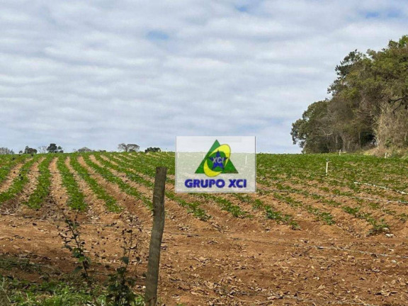 Imagem Fazenda à Venda, 3.388.000 m² em Pouso Alegre - Pouso Alegre Imagem Fazenda à Venda, 3.388.000 m² em Pouso Alegre - Pouso Alegre