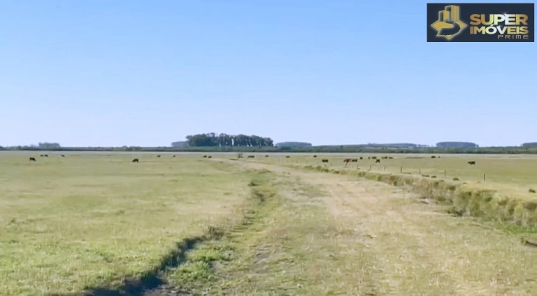 Imagem Imóvel com 3 Quartos à Venda, 25.000.000 m² em Prado - Santana Do Livramento