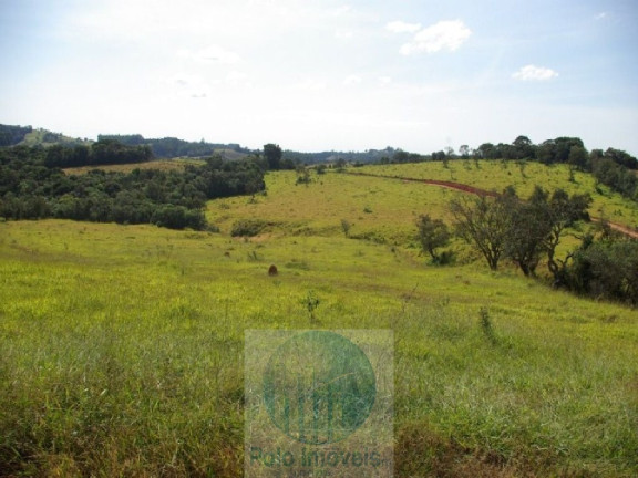 Imagem Imóvel com 3 Quartos à Venda, 302.500 m² em Zona Rural - Jacui
