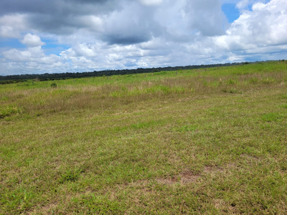 Imóvel à Venda, 14.462 m² em área Rural De Matupa - Matupa