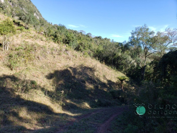 Imagem Imóvel à Venda,  em Zona Rural - Alfredo Wagner