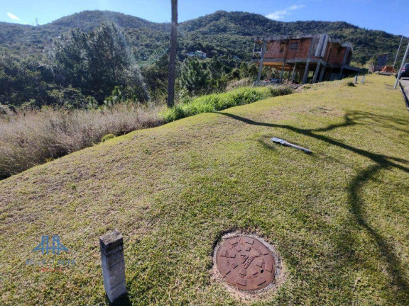 Imagem Terreno à Venda, 638 m² em Itacorubi - Florianópolis