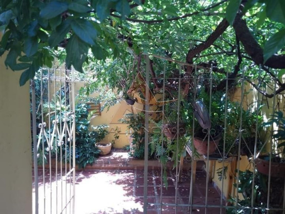 Imagem Casa com 4 Quartos à Venda, 229 m² em Vila Tibério - Ribeirão Preto Imagem Casa com 4 Quartos à Venda, 229 m² em Vila Tibério - Ribeirão Preto