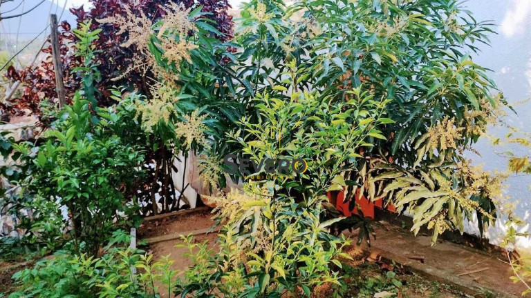 Imagem Casa com 5 Quartos à Venda, 250 m² em Ponta Negra (ponta Negra) - Maricá Imagem Casa com 5 Quartos à Venda, 250 m² em Ponta Negra (ponta Negra) - Maricá