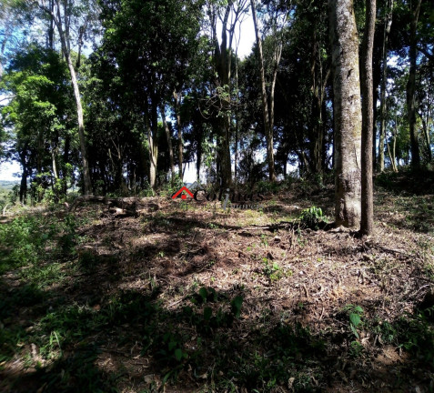 Imagem Terreno à Venda, 30.000 m² em Depois Do Centro - Ibiúna Imagem Terreno à Venda, 30.000 m² em Depois Do Centro - Ibiúna