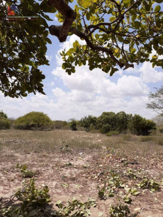 Imagem Fazenda à Venda, 50.000 m² em Centro - João Câmara Imagem Fazenda à Venda, 50.000 m² em Centro - João Câmara