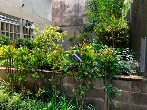 Imagem Casa com 3 Quartos à Venda, 300 m² em Alto De Pinheiros - São Paulo Imagem Casa com 3 Quartos à Venda, 300 m² em Alto De Pinheiros - São Paulo