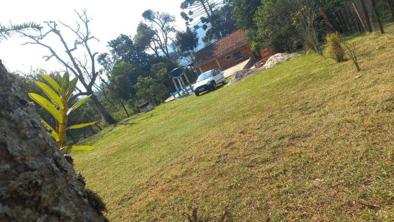 Imagem Imóvel com 2 Quartos à Venda, 857 m² em Centro - Ponta Grossa