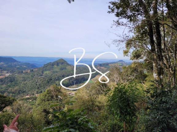 Imagem Terreno à Venda, 190.000 m² em Estrada Serra Grande - Gramado Imagem Terreno à Venda, 190.000 m² em Estrada Serra Grande - Gramado