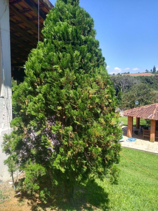 Imagem Chácara com 3 Quartos à Venda, 1.870 m² em Ibiúna