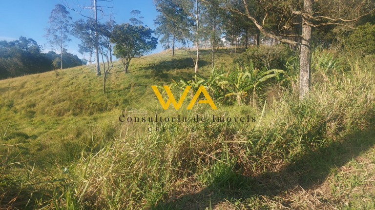 Terreno à Venda, 5.300 m² em Vila Nova Aparecida - Mogi Das Cruzes