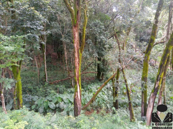 Imagem Imóvel com 4 Quartos à Venda, 11.000 m² em Quintas Da Serra - Caeté
